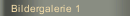 Bildergalerie 1