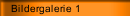 Bildergalerie 1