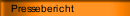 Pressebericht